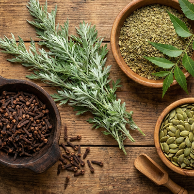 2. Artemisia, Chiodi di Garofano, Neem e Semi di Zucca – La Forza Attiva